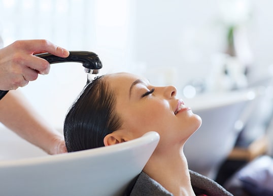 central park bellavista