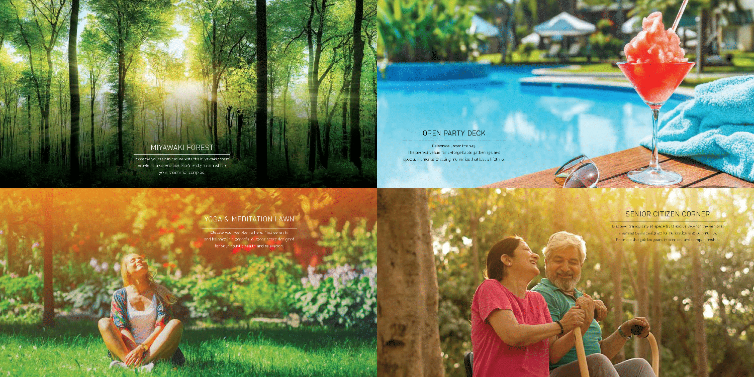 signature global 37D